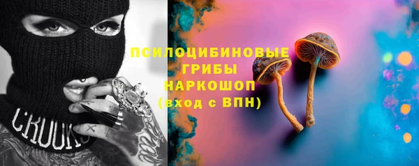 эйфоретик Кукмор