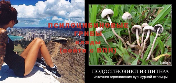 эйфоретик Кукмор