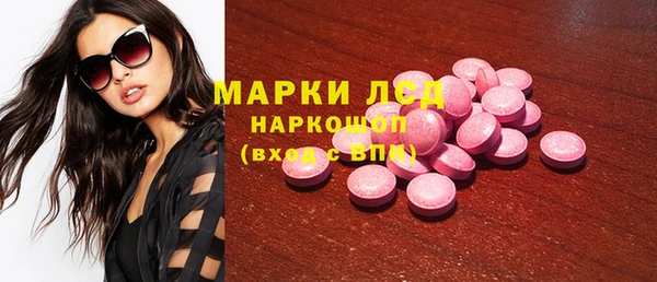эйфоретик Кукмор