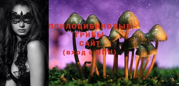 дживик Куйбышев