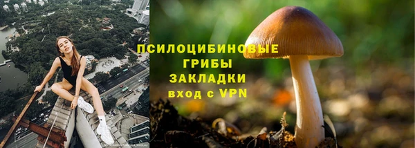 дживик Куйбышев