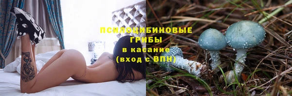 эйфоретик Кукмор