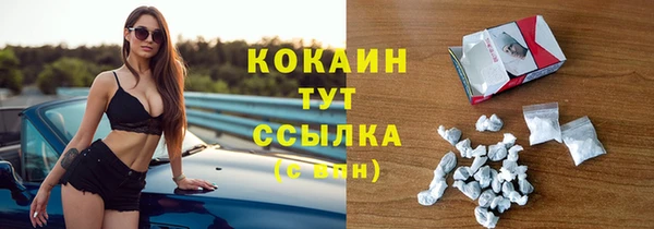 эйфоретик Кукмор